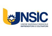 unsic2.jpg (5345 byte)