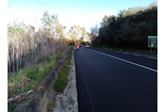 IMG-20210211-WA0022
